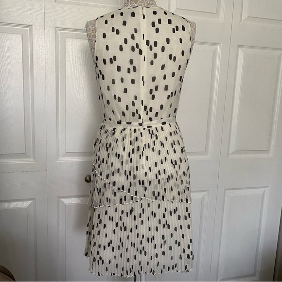 Banana Republic Polka Dot Pleated Dress 6 - Picture 3 of 16